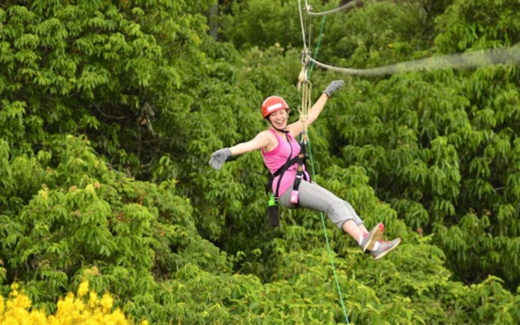 canopy o tirolesa
