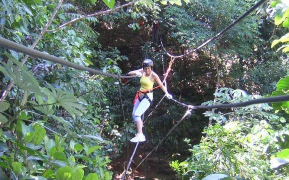 Pucón - Canopy Pucon - Imagen 2