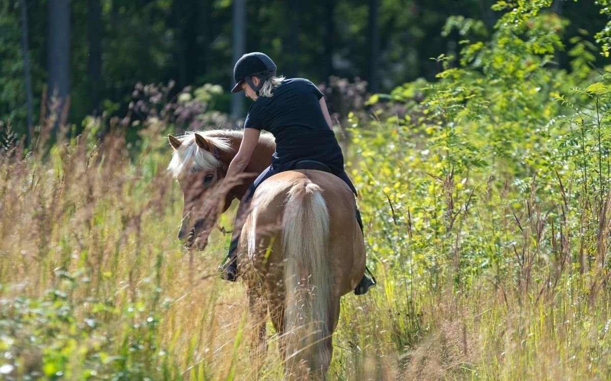 cabalgata patagonica