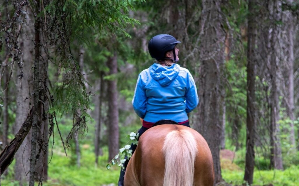 cabalgata patagonica