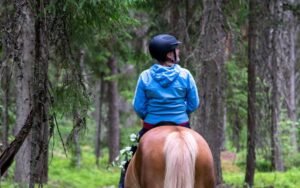 cabalgata patagonica