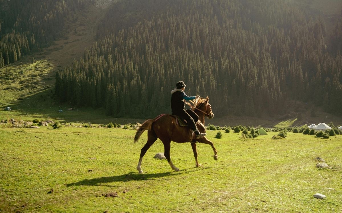 cabalgata patagonica